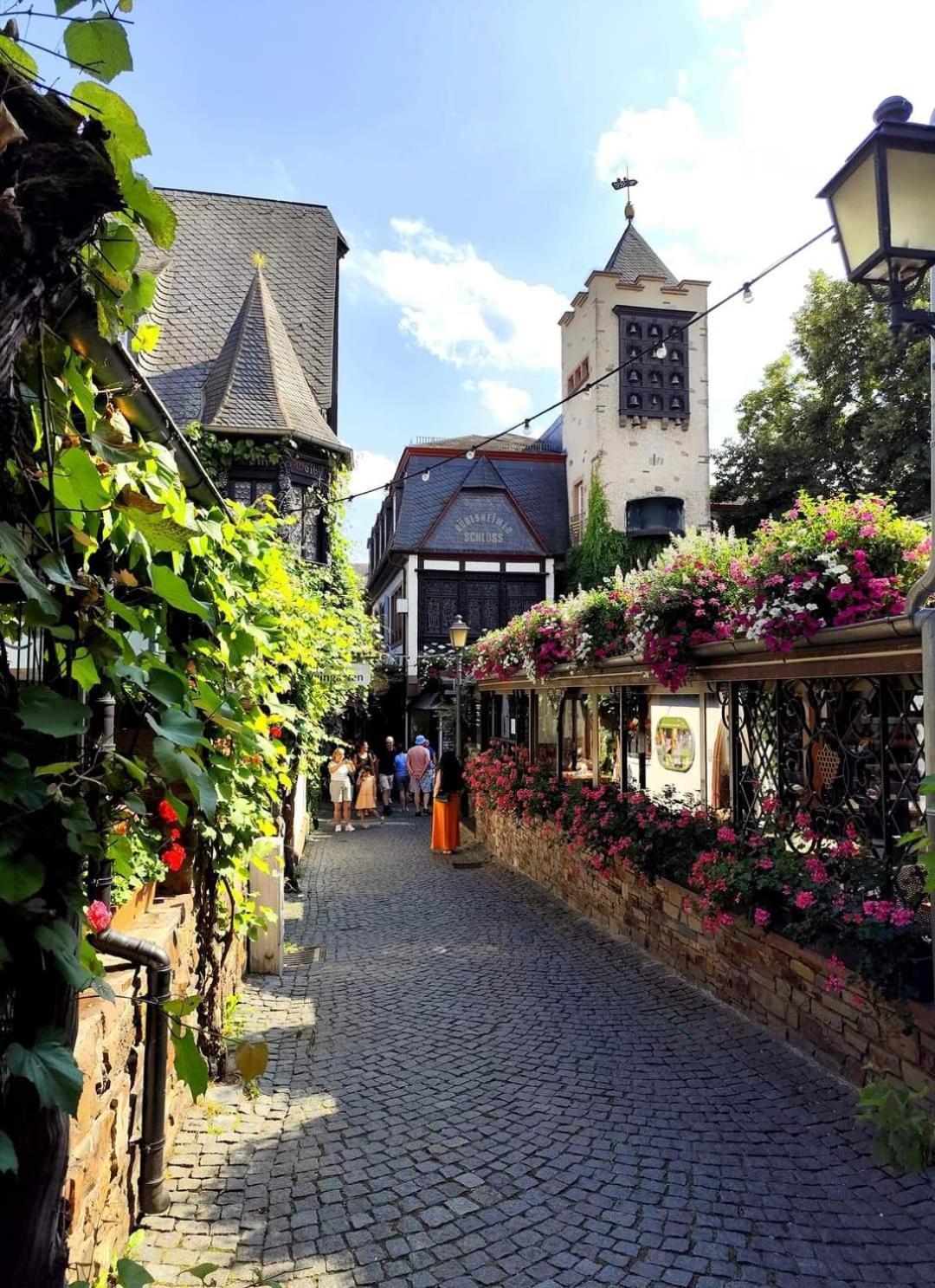Hotel Ruedesheimer Hof Rüdesheim am Rhein Esterno foto