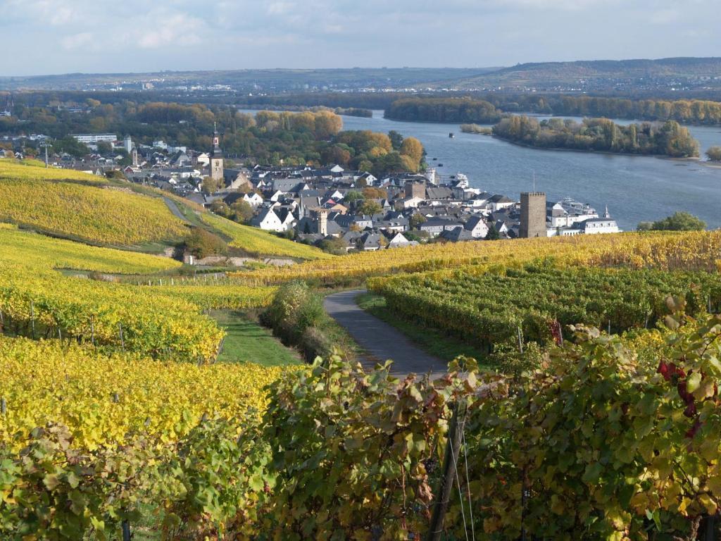 Hotel Ruedesheimer Hof Rüdesheim am Rhein Camera foto